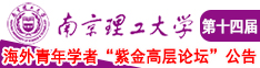 我肏女人的骚屄网南京理工大学第十四届海外青年学者紫金论坛诚邀海内外英才！